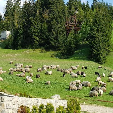 Enjoy The Silence Holiday Home Vlašić Zewnętrze zdjęcie