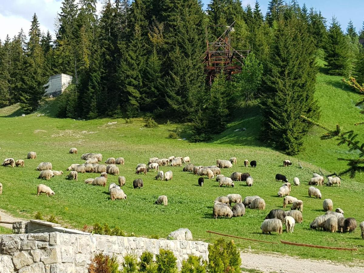 Enjoy The Silence Holiday Home Vlašić Zewnętrze zdjęcie